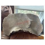 20in Artist Conk Fungus with cabin scene