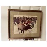 Large Framed Vintage Photo of Elk