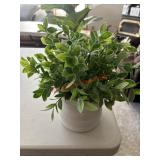 Medium Size Faux Plant           (living Room )