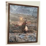 21in Framed VTG Bull Elk Large Photo