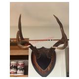 Deer Antler Wall Mount with Arrow