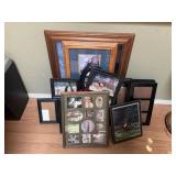 Frame lot with Vintage Animal Photos