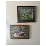 Framed Vtg bull Elk Photos