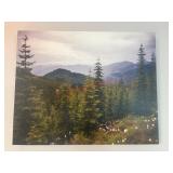 Canvas Print             (Hallway)