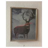 Framed Vintage Buck Photo