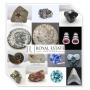 Collector Sale l Jewelry Gemstones Coins Vehicles Ancients +