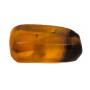 Collector Sale | Coins Ancients Jewelry Gemstones Fossils +