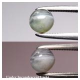 0.86ct Round Cabochon Natural Green Cat's Eye Alex