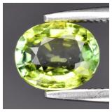 0.77ct 6.5x5.3mm Oval Natural Green Tourmaline - U