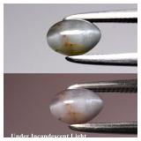 0.67ct Oval Cabochon Natural Green Cat's Eye Alexa