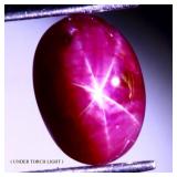 Oval Natural Red 6 Rays Star Ruby Africa 4.16ct 10