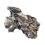 Meteorite Fragment Campo del Celio 11.96g