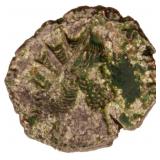 RGS G Gallienus Ancient Roman Coin