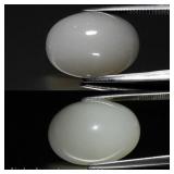 10.82ct 18x13mm Oval Cabochon Natural White Cat's