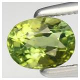 0.57ct VS Oval Natural Green Tourmaline - Unheated