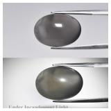 15.32ct Oval Cabochon Natural Greenish Purple Cat'