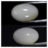 14.65ct Oval Cabochon Natural White Cat's Eye Moon