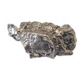 Meteorite Fragment Campo del Celio 11.78g