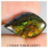 Fancy Cab Natural Hot Rainbow Luster Ammolite Cana