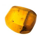 Approx 89-99 Million Year Old Insect in Amber