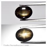 2.76ct Natural Green Black 6 Ray Star Sapphire - U