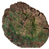 RGS G Gallienus Ancient Roman Coin