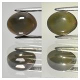 0.98ct 7.8x6.2mm Oval Cabochon Natural Black Opal