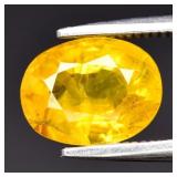 1.83ct 8x6.3mm Oval Yellow Sapphire - Thailand Gem