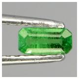 Emerald Cut Natural Unheated Top Rich Green Tsavor