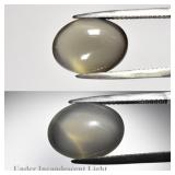 6.85ct Oval Cabochon Natural Greenish Purple Cat's