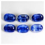 Oval Cut Natural Cornflower Blue Kyanite Nepal 6pc