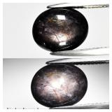 8.82ct Oval Cabochon Natural Black 6 Ray Star Sapp