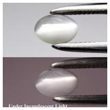 0.31ct Oval Cabochon Natural Green Cat's Eye Alexa