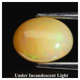 0.93ct 8.7x6.5mm Oval Natural White Opal - Color F