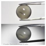 7.84ct Round Cabochon Natural Greenish Purple Cat'