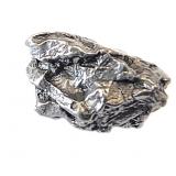Meteorite Fragment Campo del Celio 15.0g