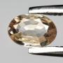 Collector Sale | Coins Jewelry Ancients Gemstones Fossils +
