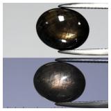 7.17ct Oval Cabochon Black 6 Ray Star Sapphire Hea