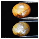 5.60ct 11.2x9mm Oval Natural Yellow 6 Ray Star Sap