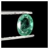 Oval Cut 100% Natural Unheated Top Green Emerald B