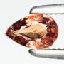 Collector Sale | Coins Jewelry Ancients Gemstones Fossils +