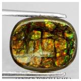 Amazing Natural Hot Rainbow Luster Ammolite Canada
