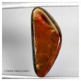 Amazing Natural Hot Rainbow Luster Ammolite Canada