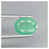Oval Cut Natural Unheated Top Rich Green Emerald Z