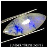 Marquise Cab Natural White With Fire Blue Luster M