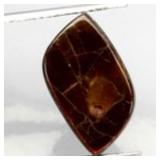 Amazing Natural Hot Rainbow Luster Ammolite Canada