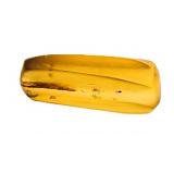 Approx 89-99 Million Year Old Insect in Amber