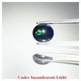 0.93ct 7.5x6.5mm Oval Natural Black Opal - Rainbow
