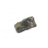 3.86ct 14x7.5mm Rough Natural Light Blue-Green Sap