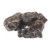 Meteorite Fragment Campo del Celio 17.85g